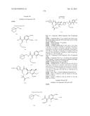 2-SUBSTITUTED CEPHEM COMPOUNDS diagram and image