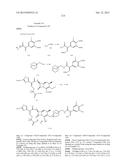 2-SUBSTITUTED CEPHEM COMPOUNDS diagram and image