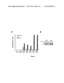 MACROCYCLIC COMPOUNDS AND USES THEREOF diagram and image