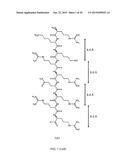 C4S PROTEOGLYCAN SPECIFIC TRANSPORTER MOLECULES diagram and image