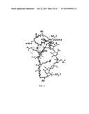 C4S PROTEOGLYCAN SPECIFIC TRANSPORTER MOLECULES diagram and image