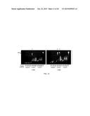 C4S PROTEOGLYCAN SPECIFIC TRANSPORTER MOLECULES diagram and image