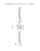 NOVEL POLYMERS, PHARMACEUTICAL COMPOSITIONS AND METHODS OF SYNTHESIZING     THE SAME diagram and image