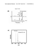 NOVEL POLYMERS, PHARMACEUTICAL COMPOSITIONS AND METHODS OF SYNTHESIZING     THE SAME diagram and image