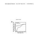 NOVEL POLYMERS, PHARMACEUTICAL COMPOSITIONS AND METHODS OF SYNTHESIZING     THE SAME diagram and image