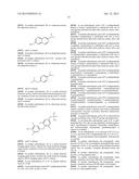 NOVEL POLYMERS, PHARMACEUTICAL COMPOSITIONS AND METHODS OF SYNTHESIZING     THE SAME diagram and image