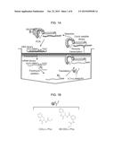 Peptide for Inhibiting Vascular Endothelial Growth Factor Receptor diagram and image