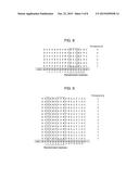 Peptide for Inhibiting Vascular Endothelial Growth Factor Receptor diagram and image