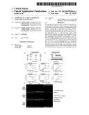 INHIBITION OF CARDIAC FIBROSIS IN MYOCARDIAL INFARCTION diagram and image