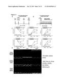 INHIBITION OF CARDIAC FIBROSIS IN MYOCARDIAL INFARCTION diagram and image