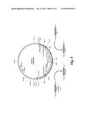 POLYVALENT INFLUENZA VIRUS-LIKE PARTICLE (VLP) COMPOSITIONS diagram and image