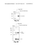 POLYVALENT INFLUENZA VIRUS-LIKE PARTICLE (VLP) COMPOSITIONS diagram and image