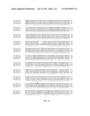 AXMI-115, AXMI-113, AXMI-005, AXMI-163 AND AXMI-184: INSECTICIDAL PROTEINS     AND METHODS FOR THEIR USE diagram and image