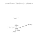 cDNA-DERIVED NUCLEIC ACIDS ENCODING RED-SHIFTED CHANNELRHODOPSINS diagram and image