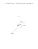 cDNA-DERIVED NUCLEIC ACIDS ENCODING RED-SHIFTED CHANNELRHODOPSINS diagram and image