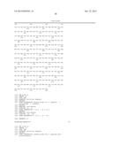 cDNA-DERIVED NUCLEIC ACIDS ENCODING RED-SHIFTED CHANNELRHODOPSINS diagram and image