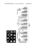 Adult Stem Cells/Progenitor Cells and Stem Cell Proteins for Treatment of     Eye Injuries and Diseases diagram and image