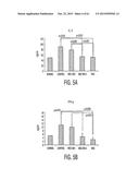 Adult Stem Cells/Progenitor Cells and Stem Cell Proteins for Treatment of     Eye Injuries and Diseases diagram and image