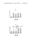 Adult Stem Cells/Progenitor Cells and Stem Cell Proteins for Treatment of     Eye Injuries and Diseases diagram and image