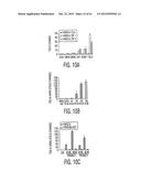 Adult Stem Cells/Progenitor Cells and Stem Cell Proteins for Treatment of     Eye Injuries and Diseases diagram and image