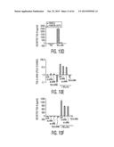 Adult Stem Cells/Progenitor Cells and Stem Cell Proteins for Treatment of     Eye Injuries and Diseases diagram and image