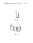 Adult Stem Cells/Progenitor Cells and Stem Cell Proteins for Treatment of     Eye Injuries and Diseases diagram and image