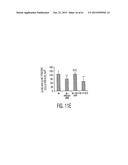 Adult Stem Cells/Progenitor Cells and Stem Cell Proteins for Treatment of     Eye Injuries and Diseases diagram and image