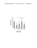 Adult Stem Cells/Progenitor Cells and Stem Cell Proteins for Treatment of     Eye Injuries and Diseases diagram and image