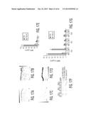 Adult Stem Cells/Progenitor Cells and Stem Cell Proteins for Treatment of     Eye Injuries and Diseases diagram and image