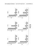 Adult Stem Cells/Progenitor Cells and Stem Cell Proteins for Treatment of     Eye Injuries and Diseases diagram and image