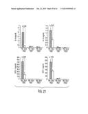 Adult Stem Cells/Progenitor Cells and Stem Cell Proteins for Treatment of     Eye Injuries and Diseases diagram and image