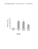 Adult Stem Cells/Progenitor Cells and Stem Cell Proteins for Treatment of     Eye Injuries and Diseases diagram and image