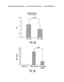 Adult Stem Cells/Progenitor Cells and Stem Cell Proteins for Treatment of     Eye Injuries and Diseases diagram and image