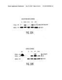 Adult Stem Cells/Progenitor Cells and Stem Cell Proteins for Treatment of     Eye Injuries and Diseases diagram and image