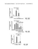 Adult Stem Cells/Progenitor Cells and Stem Cell Proteins for Treatment of     Eye Injuries and Diseases diagram and image