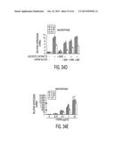 Adult Stem Cells/Progenitor Cells and Stem Cell Proteins for Treatment of     Eye Injuries and Diseases diagram and image