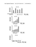 Adult Stem Cells/Progenitor Cells and Stem Cell Proteins for Treatment of     Eye Injuries and Diseases diagram and image