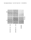 MICROMIRs diagram and image