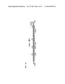 EMBEDDED CHIMERIC PEPTIDE NUCLEIC ACIDS AND USES THEREOF diagram and image