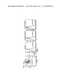 EMBEDDED CHIMERIC PEPTIDE NUCLEIC ACIDS AND USES THEREOF diagram and image