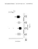 Engineering Plants for Efficient Uptake and Utilization of Urea to Improve diagram and image