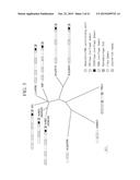 NOVEL IRON-ZINC BINDING CONTROL FACTOR, AND TECHNIQUE FOR IMPROVING IRON     DEFICIENCY TOLERANCE OF PLANT AND ENHANCING IRON AND ZINC ACCUMULATION IN     EDIBLE PART THEREOF BY CONTROLLING EXPRESSION OF NOVEL IRON-ZINC BINDING     CONTROL FACTOR diagram and image