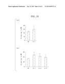 NOVEL IRON-ZINC BINDING CONTROL FACTOR, AND TECHNIQUE FOR IMPROVING IRON     DEFICIENCY TOLERANCE OF PLANT AND ENHANCING IRON AND ZINC ACCUMULATION IN     EDIBLE PART THEREOF BY CONTROLLING EXPRESSION OF NOVEL IRON-ZINC BINDING     CONTROL FACTOR diagram and image