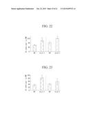 NOVEL IRON-ZINC BINDING CONTROL FACTOR, AND TECHNIQUE FOR IMPROVING IRON     DEFICIENCY TOLERANCE OF PLANT AND ENHANCING IRON AND ZINC ACCUMULATION IN     EDIBLE PART THEREOF BY CONTROLLING EXPRESSION OF NOVEL IRON-ZINC BINDING     CONTROL FACTOR diagram and image