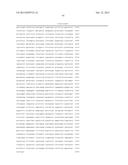 PLANTS WITH ALTERED ROOT ARCHITECTURE, RELATED CONSTRUCTS AND METHODS     INVOLVING GENES ENCODING LEUCINE RICH REPEAT KINASE (LLRK) POLYPEPTIDES     AND HOMOLOGS THEREOF diagram and image