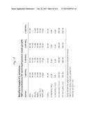 PLANTS WITH ALTERED ROOT ARCHITECTURE, RELATED CONSTRUCTS AND METHODS     INVOLVING GENES ENCODING LEUCINE RICH REPEAT KINASE (LLRK) POLYPEPTIDES     AND HOMOLOGS THEREOF diagram and image