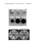 Mutant Beta-Glucosidases Having Enhanced Activity and a Method for     Producing Bioethanol Using the Same diagram and image