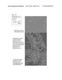 MAGNETIC NANOPARTICLES diagram and image