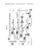 IMMOBILISED CYCLIN-DEPENDENT KINASE 4 FUSION PROTEINS AND USES THEREOF diagram and image