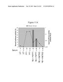 IMMOBILISED CYCLIN-DEPENDENT KINASE 4 FUSION PROTEINS AND USES THEREOF diagram and image